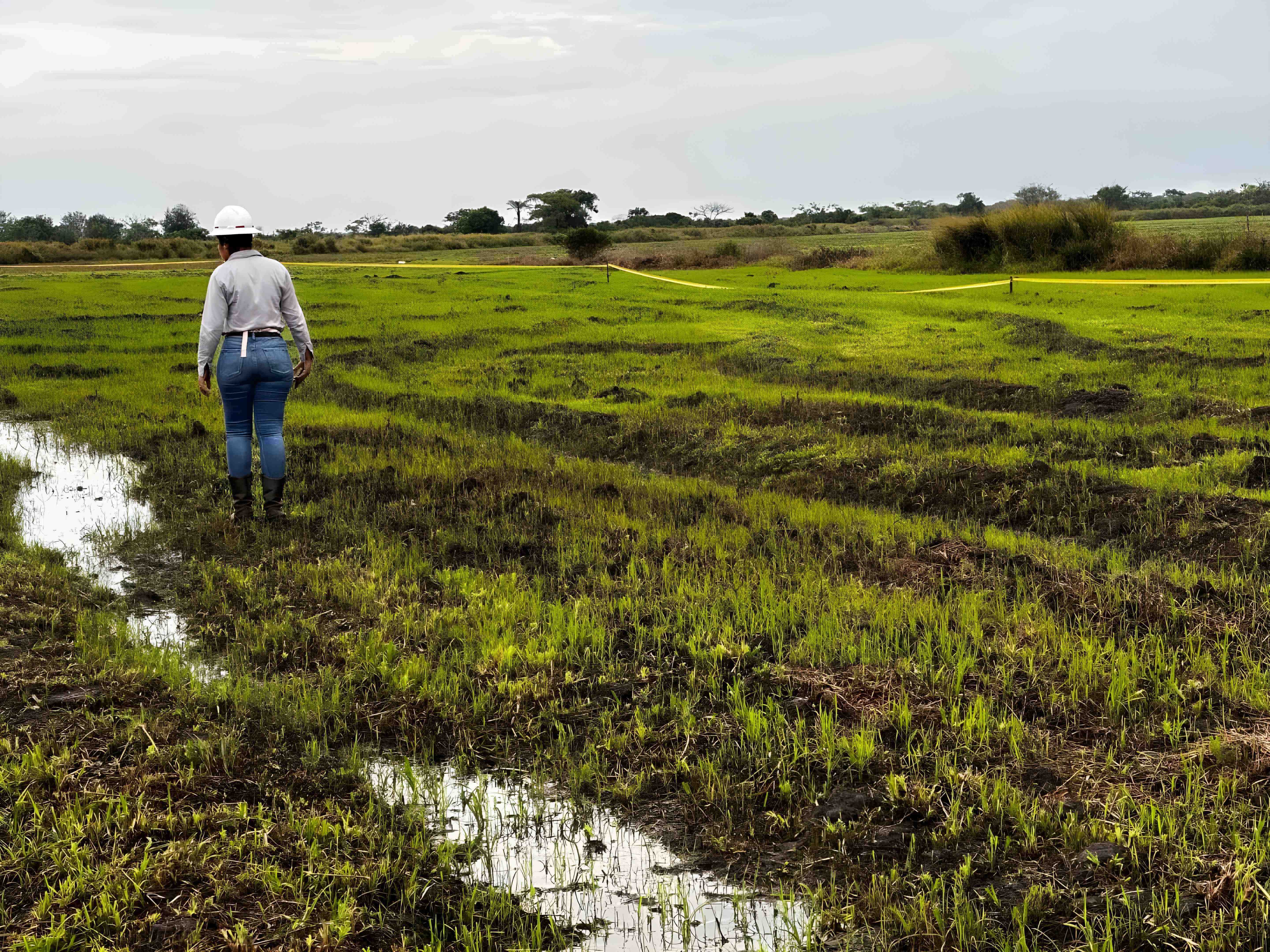 Interventoría Ambiental 